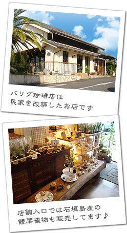 バリグ珈琲は民家を改築したお店です 店舗入り口では石垣島産の観葉植物も販売しています